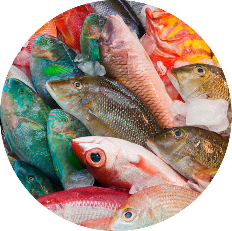 produits de la mer