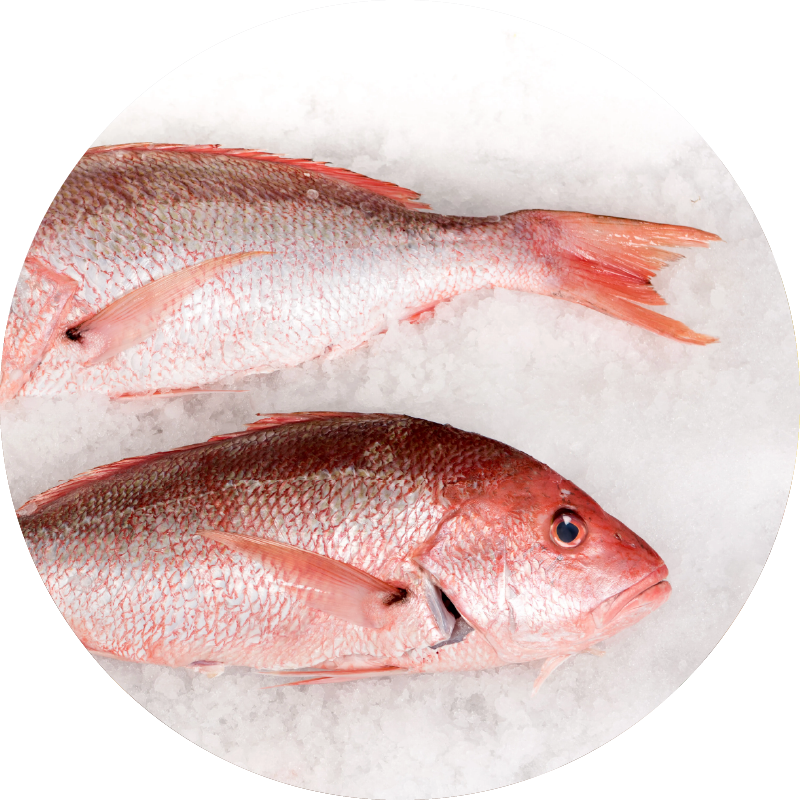 produits de la mer