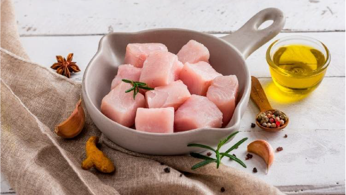 peces tropicales
