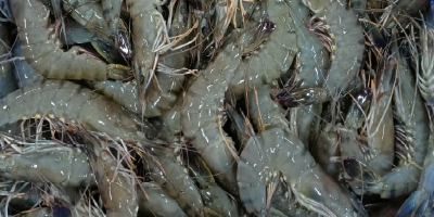 poisson salé séché