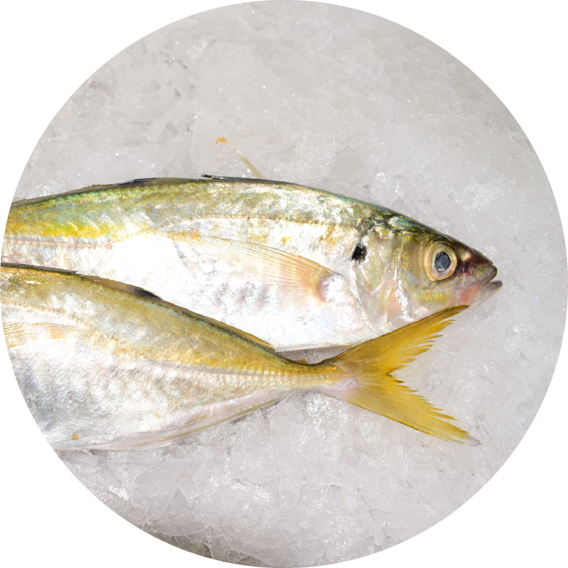 produits de la mer
