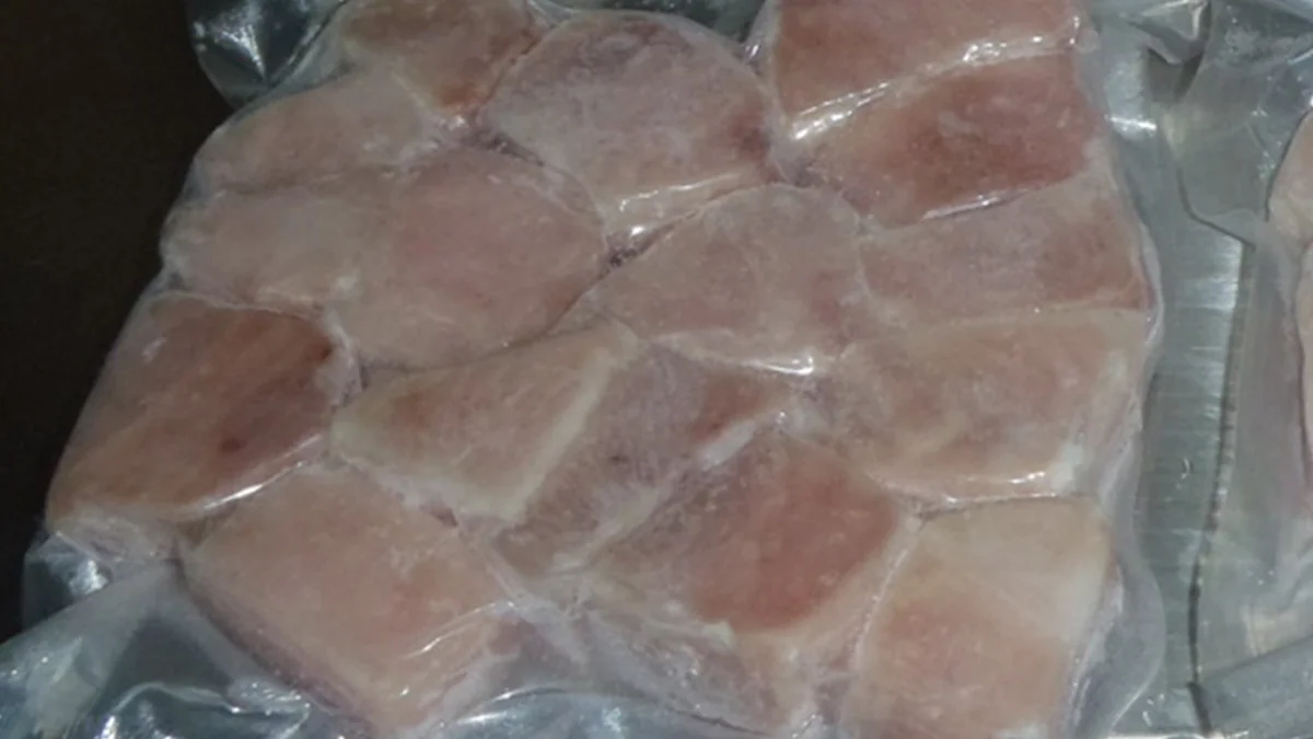 peces tropicales