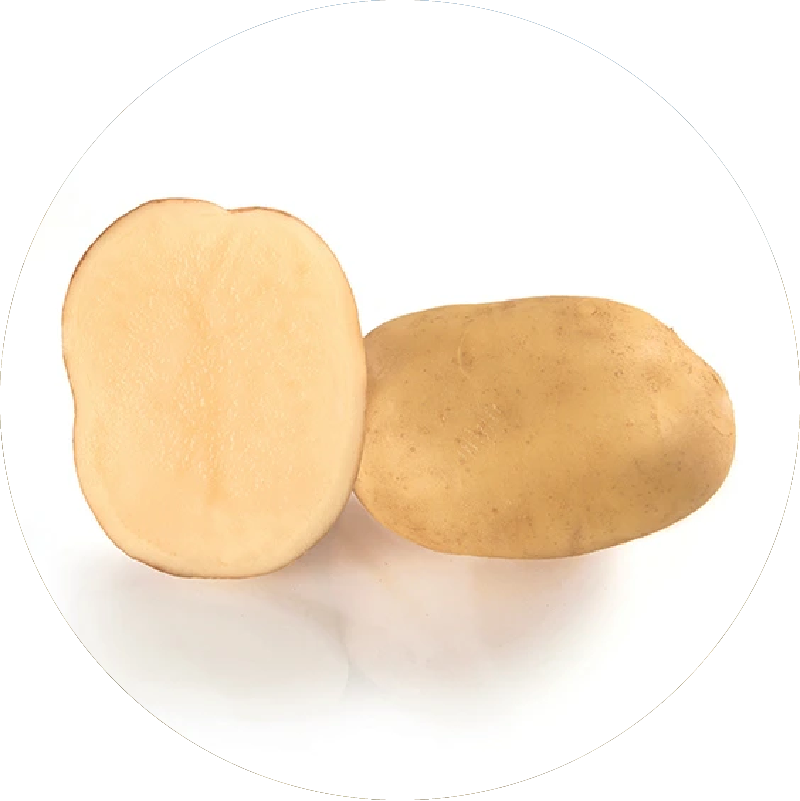 Potato Seeds