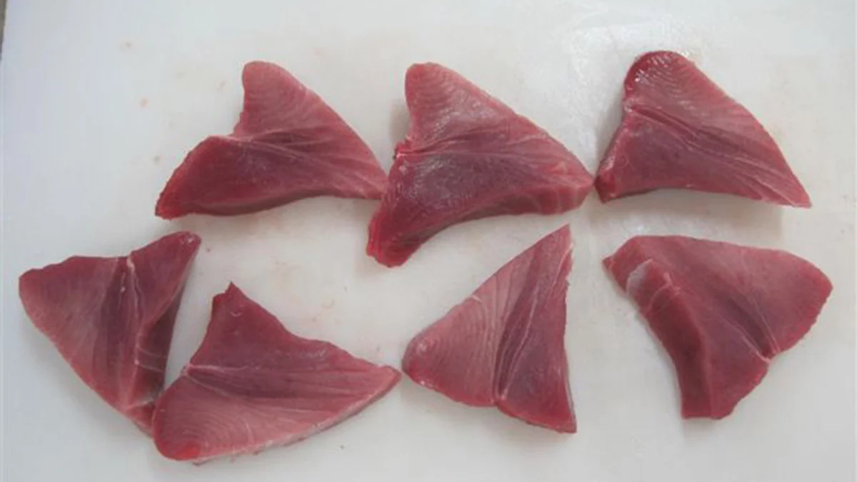 peces tropicales